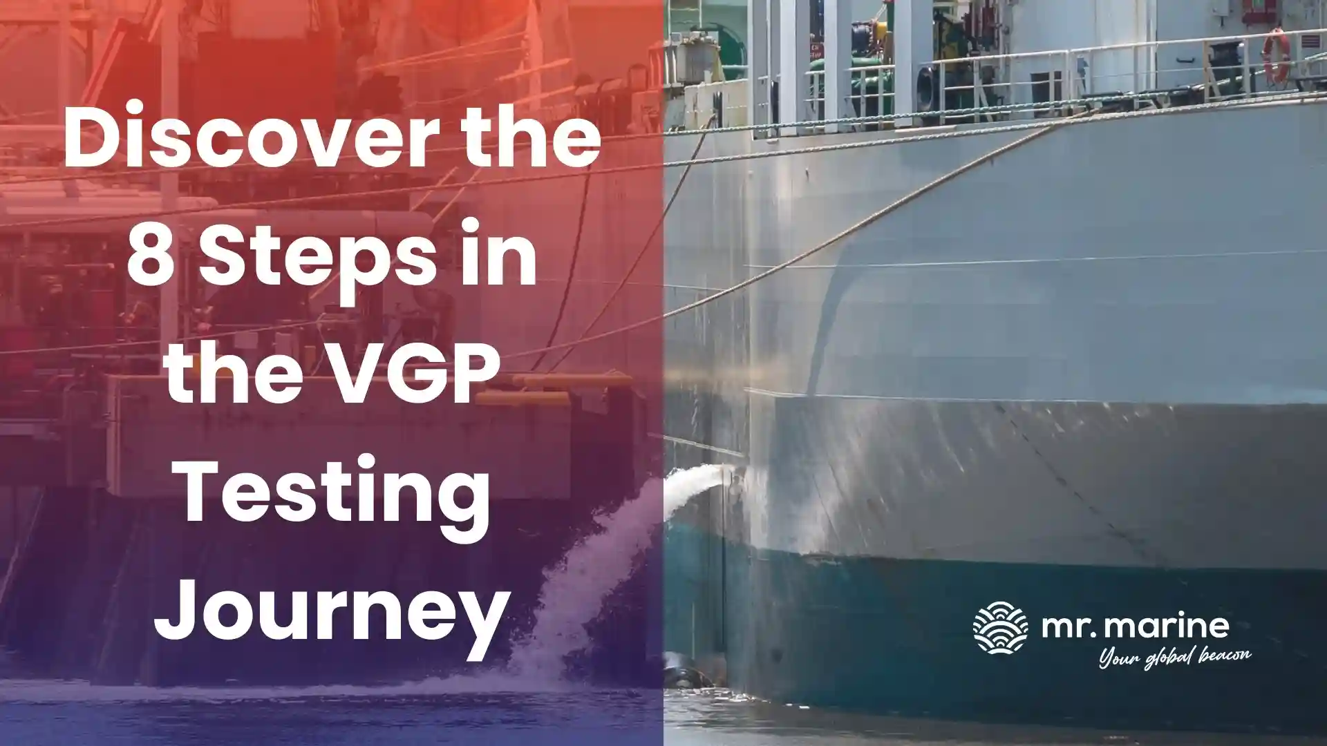 VGP Compliance Testing Process